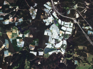 Стартап Imagery Arlula привлекает инвестиции Lockheed Martin