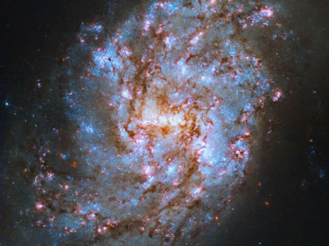 «Хаббл» прислал снимок звездной галактики в созвездии Кита